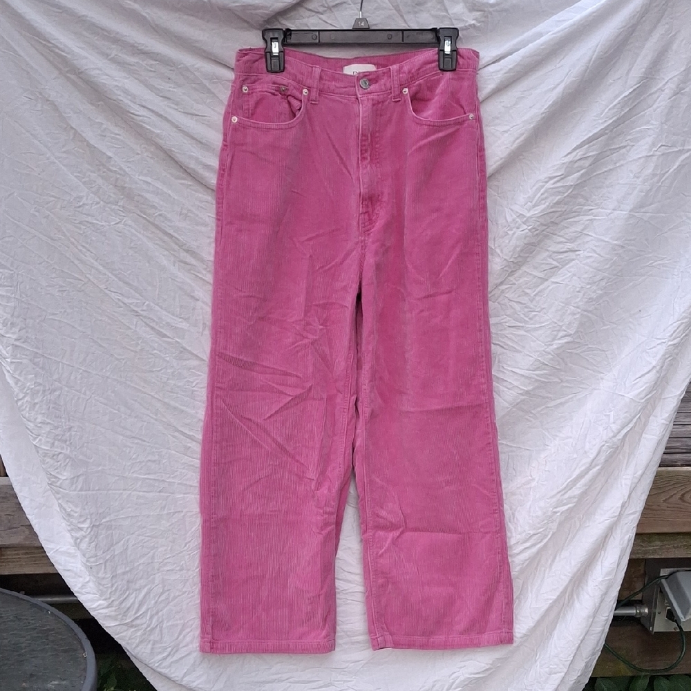 Urban Outfitters BDG Pink Corduroy Pants